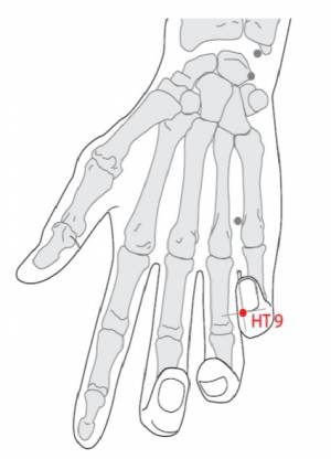 9c.jpg