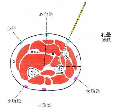 6p1.jpg 6p1.jpg
