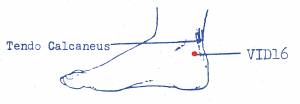 vi-d16.jpg vi-d16.jpg