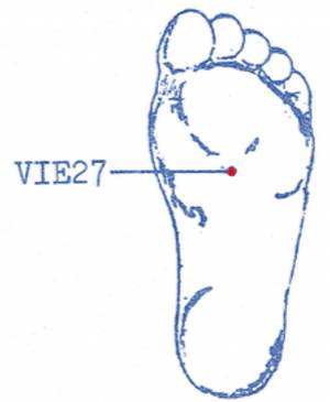 vi-e27.jpg