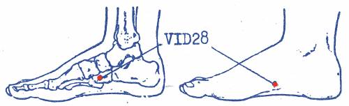 vi-d28.jpg vi-d28.jpg